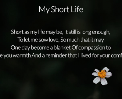 my-short-life